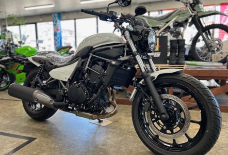 ELIMINATOR白、即納可能あります！