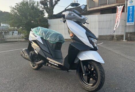 アヴェニス新色、入荷しました！