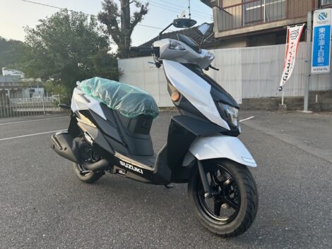 アヴェニス新色、入荷しました！